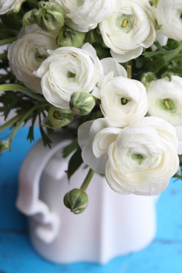 A burst of colour & fragrance with flowers - Top Tips For Viewings